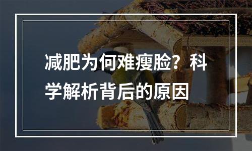 减肥为何难瘦脸？科学解析背后的原因