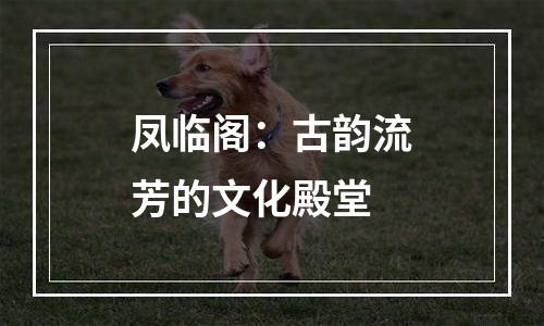 凤临阁：古韵流芳的文化殿堂