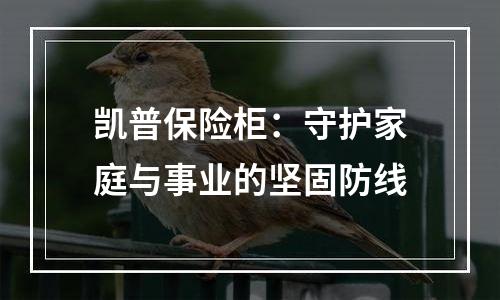 凯普保险柜：守护家庭与事业的坚固防线
