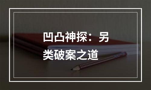 凹凸神探：另类破案之道