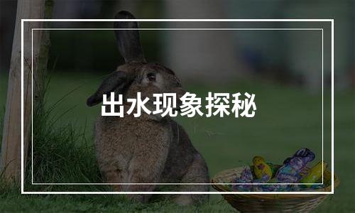 出水现象探秘