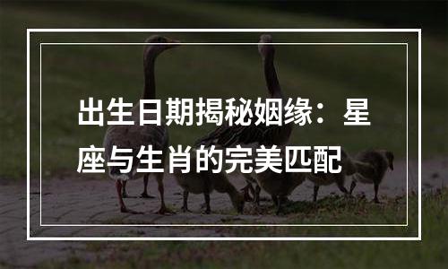 出生日期揭秘姻缘：星座与生肖的完美匹配