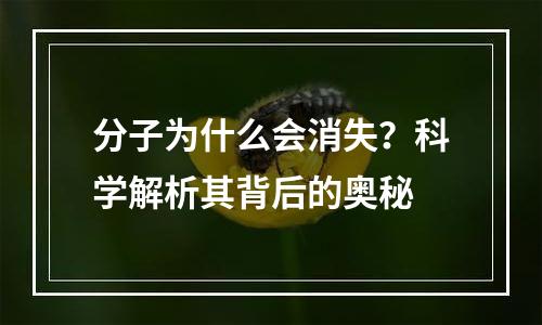 分子为什么会消失？科学解析其背后的奥秘