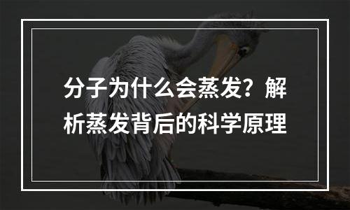 分子为什么会蒸发？解析蒸发背后的科学原理
