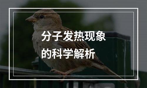 分子发热现象的科学解析