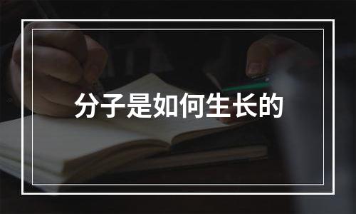 分子是如何生长的