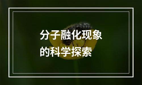 分子融化现象的科学探索