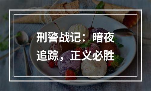 刑警战记：暗夜追踪，正义必胜