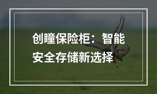 创瞳保险柜：智能安全存储新选择