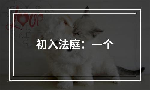 初入法庭：一个