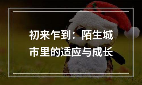 初来乍到：陌生城市里的适应与成长