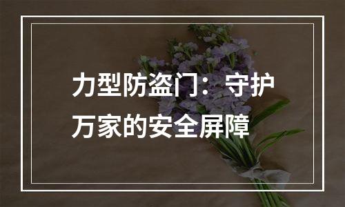 力型防盗门：守护万家的安全屏障