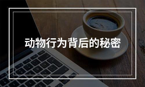 动物行为背后的秘密