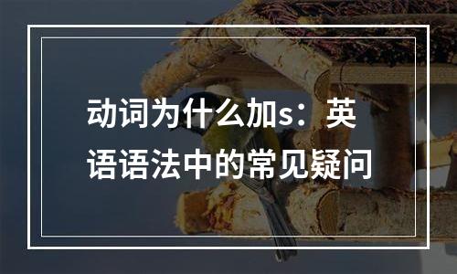 动词为什么加s：英语语法中的常见疑问