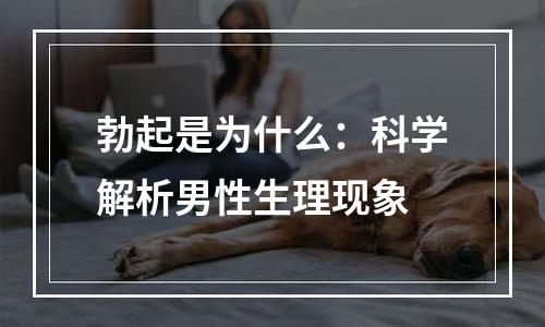 勃起是为什么：科学解析男性生理现象