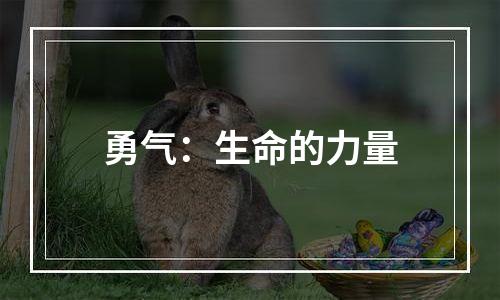 勇气：生命的力量