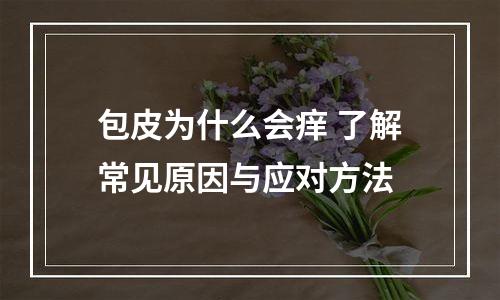 包皮为什么会痒 了解常见原因与应对方法