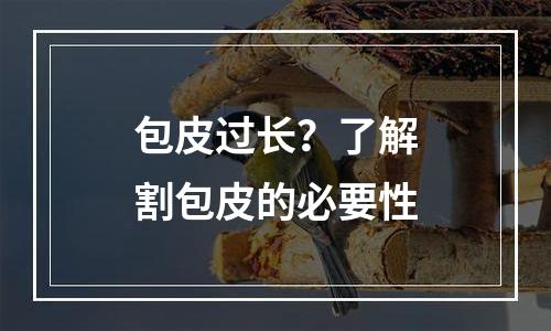 包皮过长？了解割包皮的必要性
