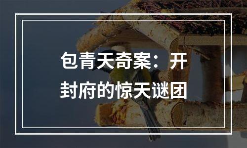 包青天奇案：开封府的惊天谜团