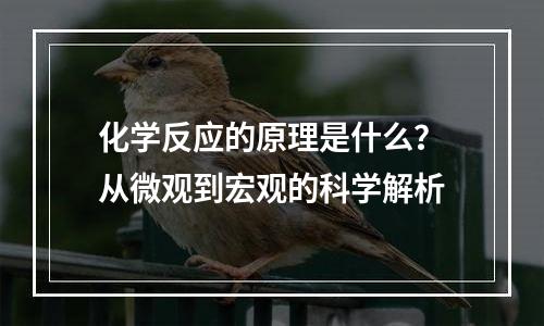 化学反应的原理是什么？从微观到宏观的科学解析