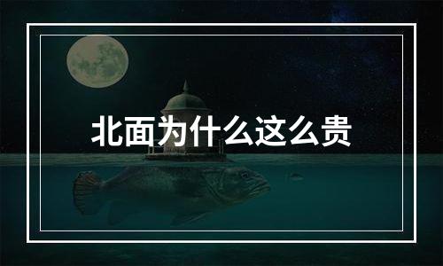 北面为什么这么贵