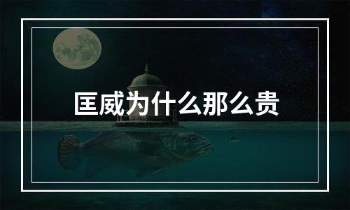 匡威为什么那么贵