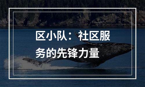 区小队：社区服务的先锋力量