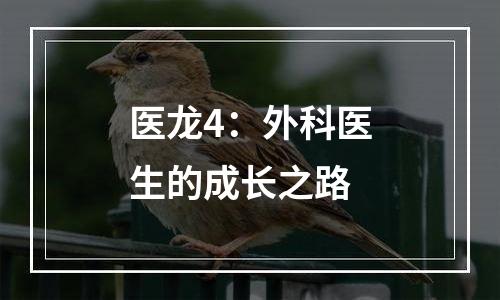 医龙4：外科医生的成长之路