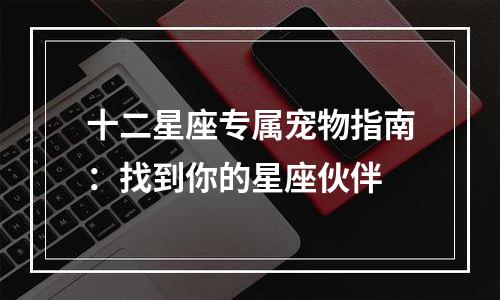 十二星座专属宠物指南：找到你的星座伙伴