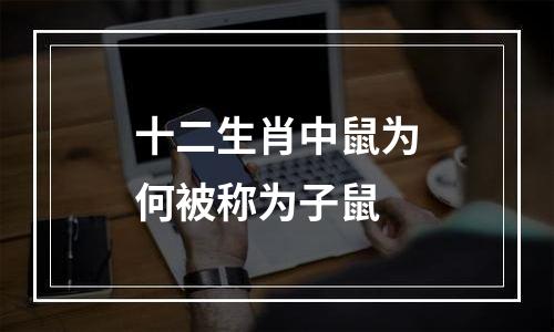 十二生肖中鼠为何被称为子鼠