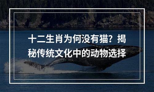 十二生肖为何没有猫？揭秘传统文化中的动物选择