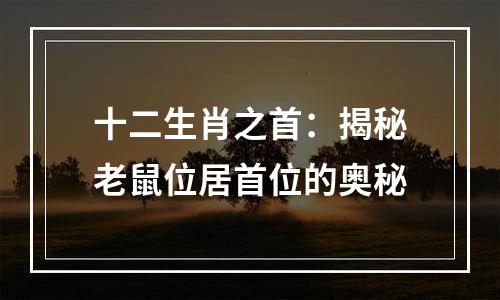 十二生肖之首：揭秘老鼠位居首位的奥秘