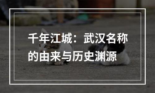 千年江城：武汉名称的由来与历史渊源