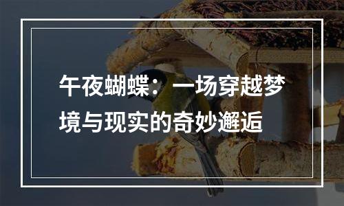 午夜蝴蝶：一场穿越梦境与现实的奇妙邂逅