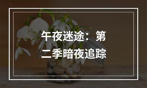 午夜迷途：第二季暗夜追踪