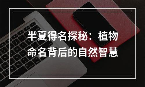 半夏得名探秘：植物命名背后的自然智慧