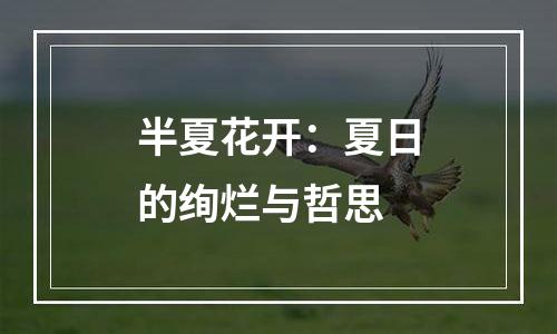 半夏花开：夏日的绚烂与哲思