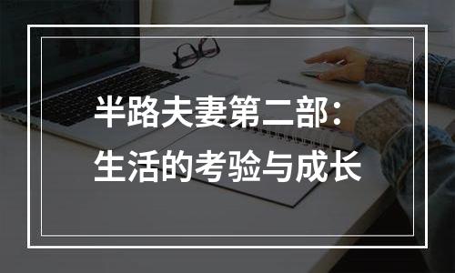 半路夫妻第二部：生活的考验与成长