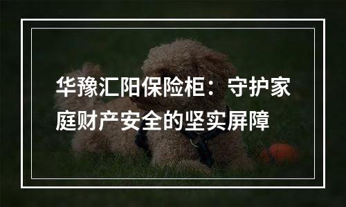华豫汇阳保险柜：守护家庭财产安全的坚实屏障