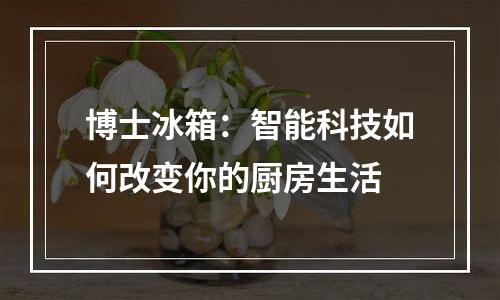 博士冰箱：智能科技如何改变你的厨房生活