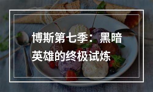 博斯第七季：黑暗英雄的终极试炼