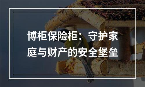 博柜保险柜：守护家庭与财产的安全堡垒