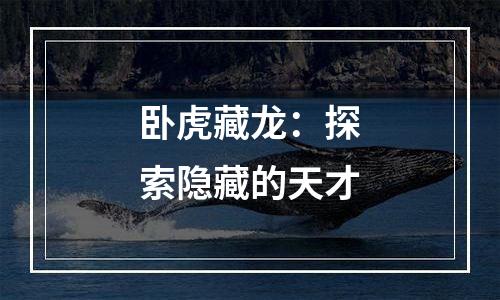 卧虎藏龙：探索隐藏的天才