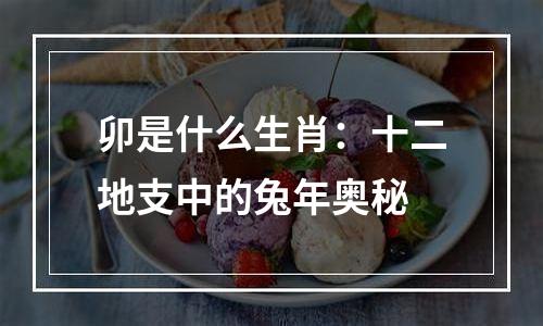 卯是什么生肖：十二地支中的兔年奥秘