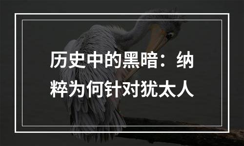 历史中的黑暗：纳粹为何针对犹太人