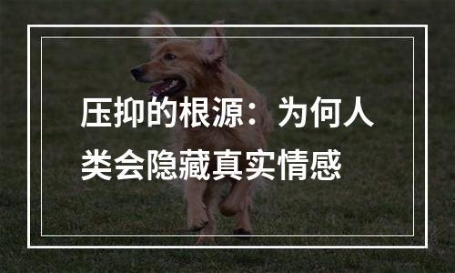 压抑的根源：为何人类会隐藏真实情感