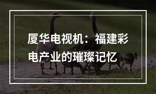 厦华电视机：福建彩电产业的璀璨记忆