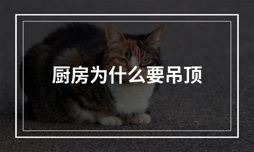 厨房为什么要吊顶