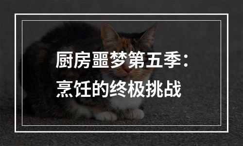 厨房噩梦第五季：烹饪的终极挑战