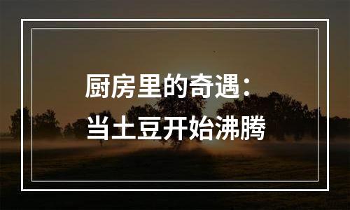 厨房里的奇遇：当土豆开始沸腾